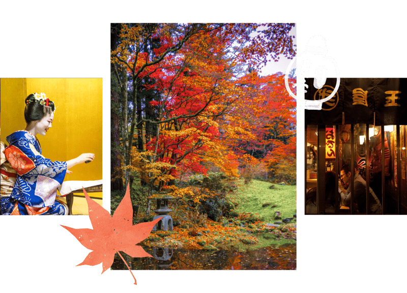 Autumn-Landing-Page-Header Autumn-Landing-Page-Header