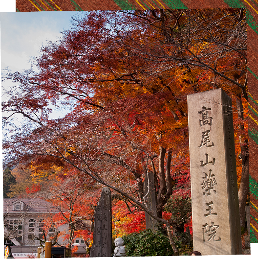 Only in Japan-Only in Autumn Only in Japan-Only in Autumn